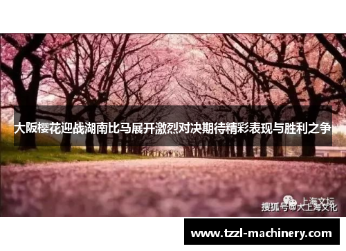 大阪樱花迎战湖南比马展开激烈对决期待精彩表现与胜利之争